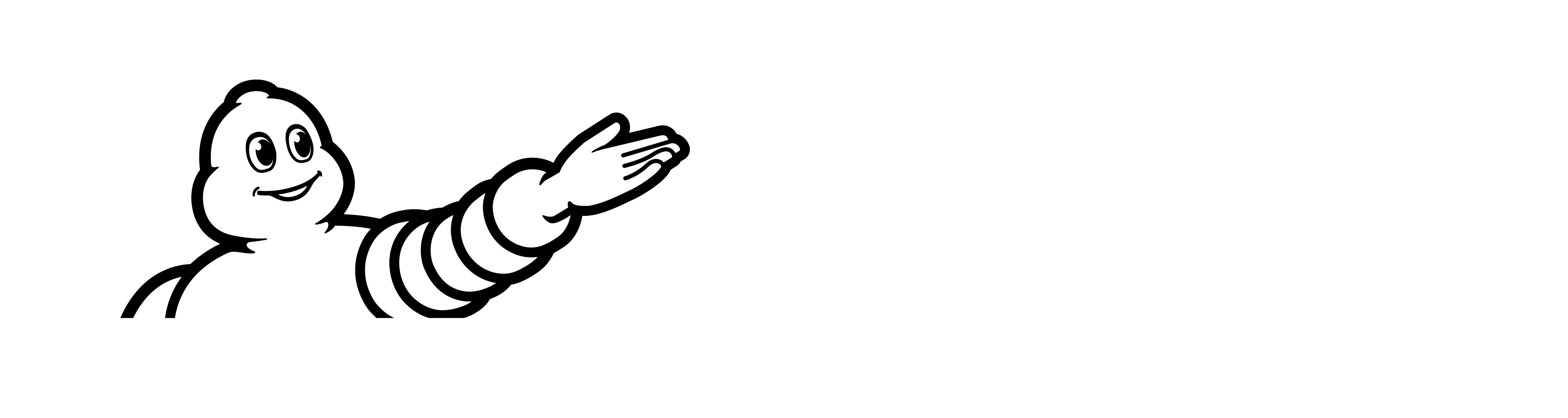 michelin-polymers-engineered-resicare-logo-blanc